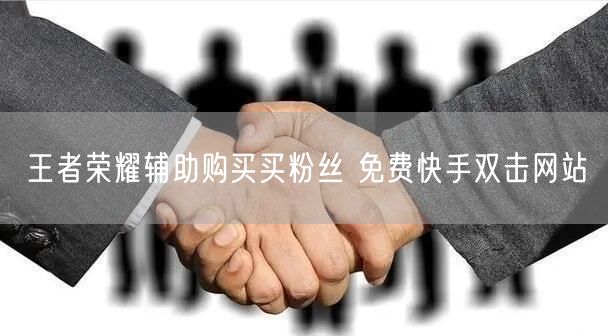 王者荣耀辅助购买买粉丝 免费快手双击网站