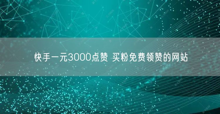 快手一元3000点赞 买粉免费领赞的网站