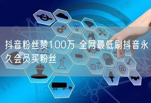 抖音粉丝赞100万 全网最低刷抖音永久会员买粉丝
