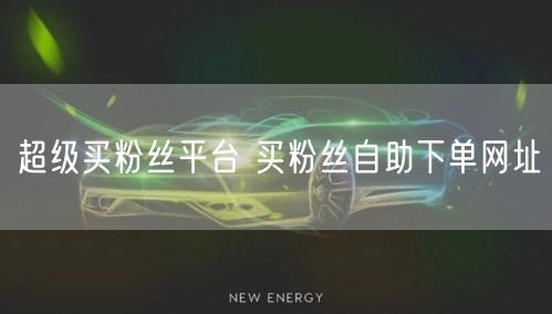 超级买粉丝平台 买粉丝自助下单网址