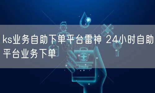 ks业务自助下单平台雷神 24小时自助平台业务下单