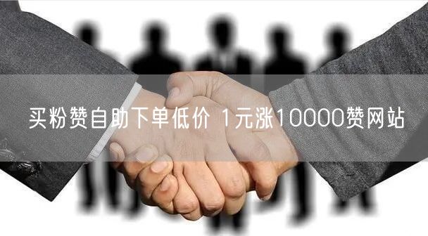 买粉赞自助下单低价 1元涨10000赞网站