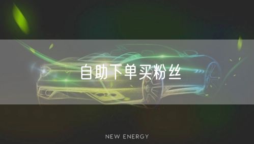 自助下单买粉丝