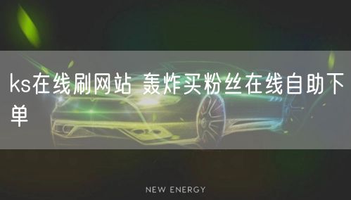 ks在线刷网站 轰炸买粉丝在线自助下单