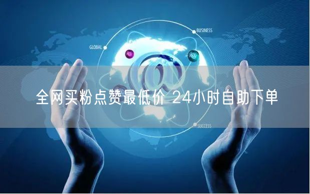 全网买粉点赞最低价 24小时自助下单