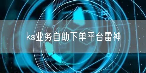ks业务自助下单平台雷神