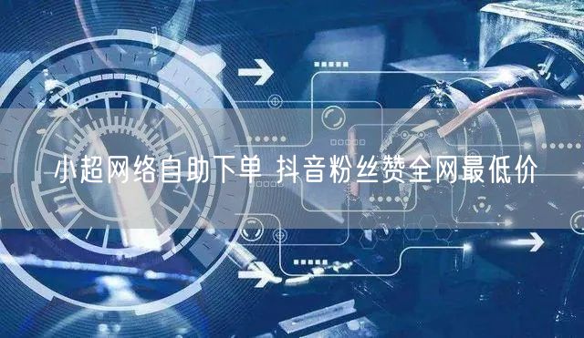 小超网络自助下单 抖音粉丝赞全网最低价