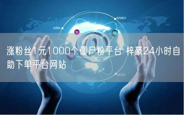 涨粉丝1元1000个僵尸粉平台 梓豪24小时自助下单平台网站