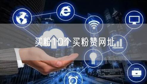 买粉10个买粉赞网址
