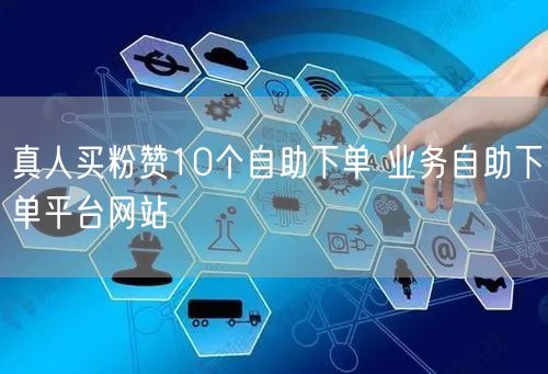 真人买粉赞10个自助下单 业务自助下单平台网站