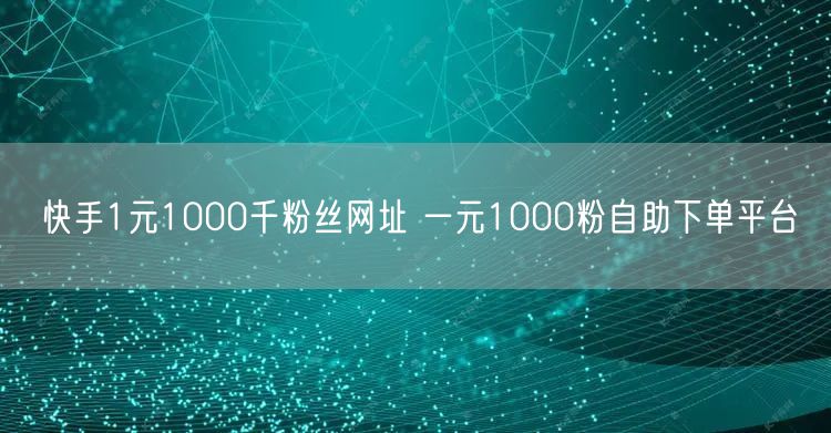 快手1元1000千粉丝网址 一元1000粉自助下单平台