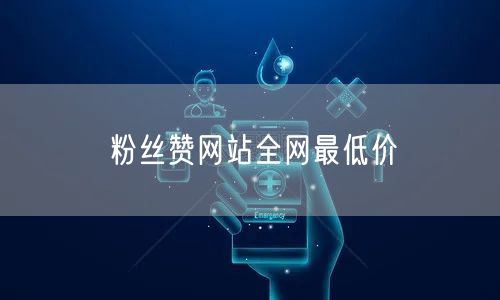 粉丝赞网站全网最低价