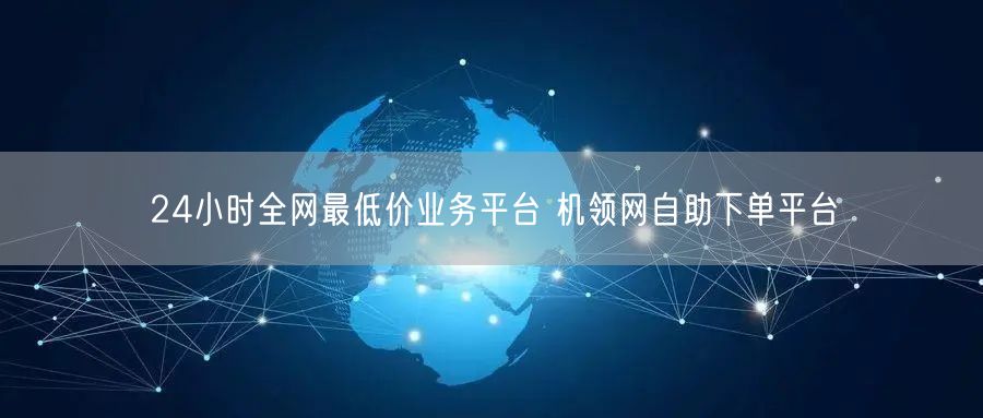 24小时全网最低价业务平台 机领网自助下单平台