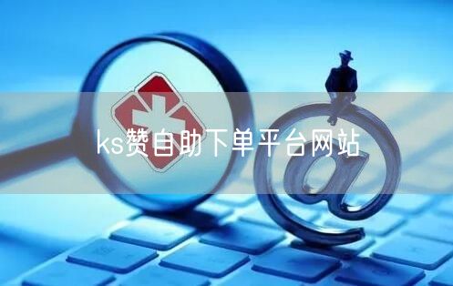 ks赞自助下单平台网站