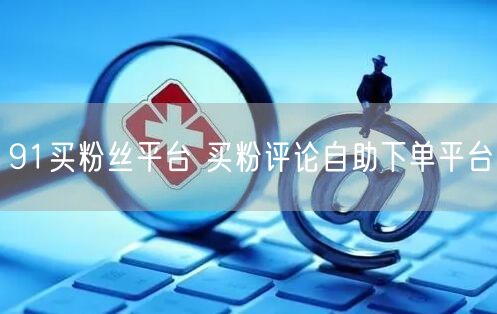 91买粉丝平台 买粉评论自助下单平台