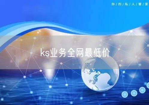 ks业务全网最低价