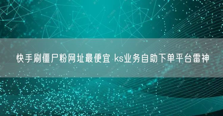 快手刷僵尸粉网址最便宜 ks业务自助下单平台雷神