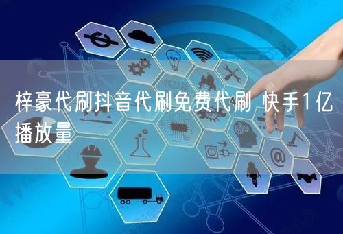 梓豪代刷抖音代刷免费代刷 快手1亿播放量