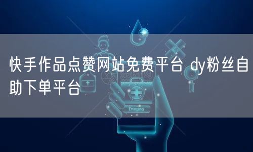快手作品点赞网站免费平台 dy粉丝自助下单平台