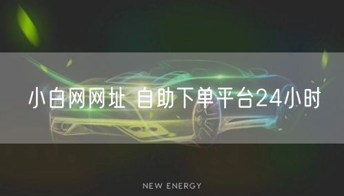 小白网网址 自助下单平台24小时